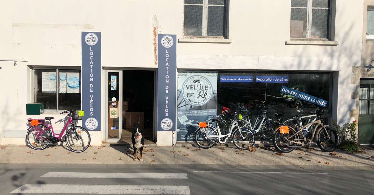 Réparation de vélo par vel'ile en re 